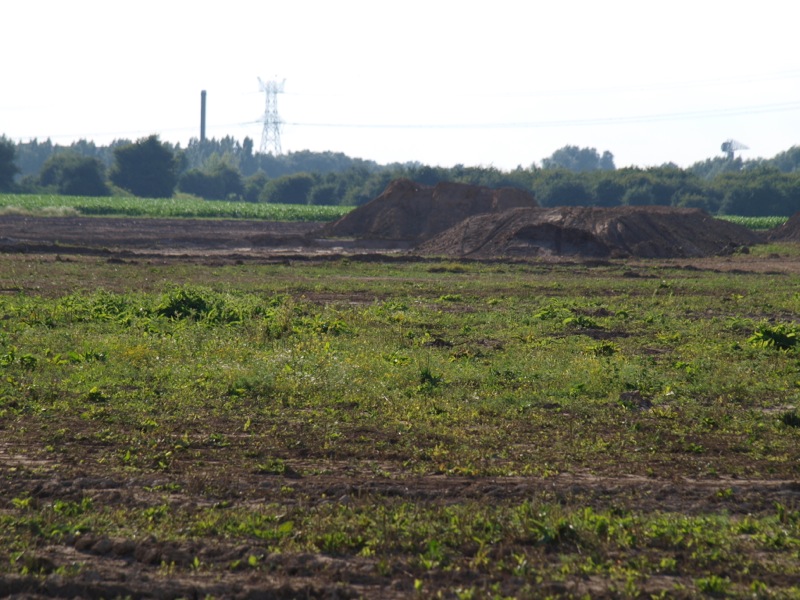 groen juli5